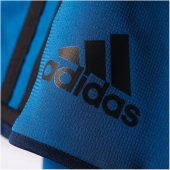 Adidas Condivo 16 Short - eqt blue s16/collegiate navy/black - Erw