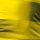 Puma BVB Trikot 2017/2018 Home - Erw - cyber yellow-puma black - Größe XXL